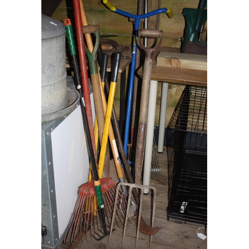 62 - Bundle garden tools