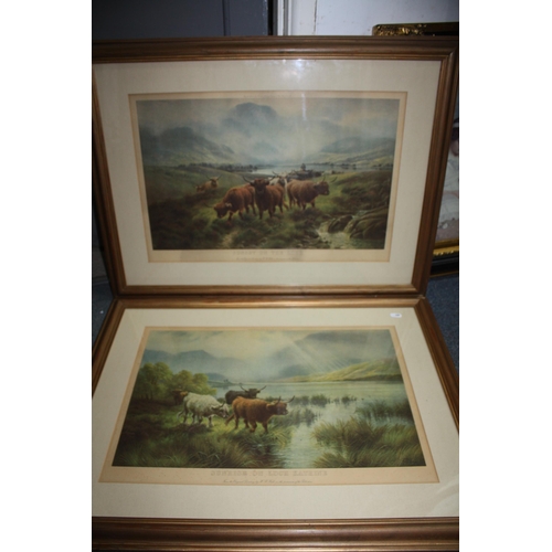 1465 - Pair Highland Cattle prints 14