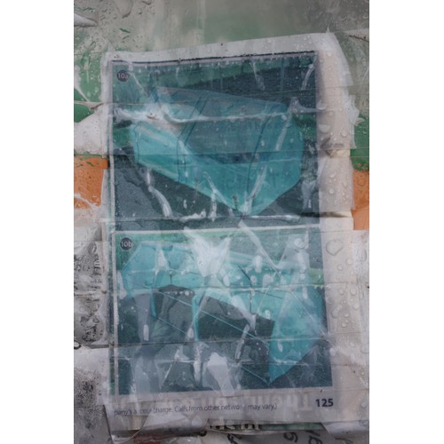 145 - Garden polytunnel planter