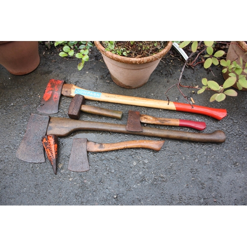 Lot 20        