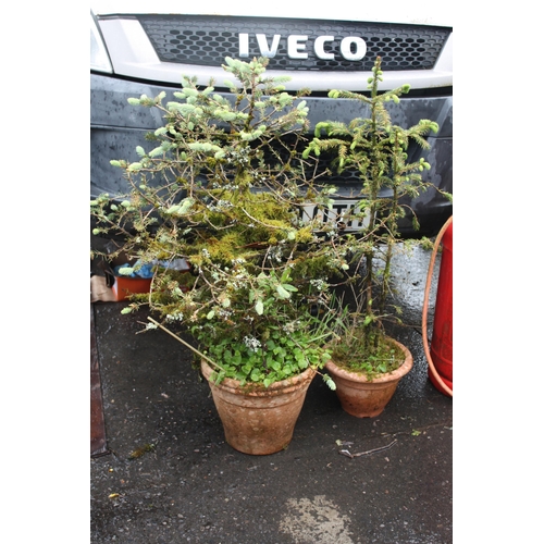 Lot 25        