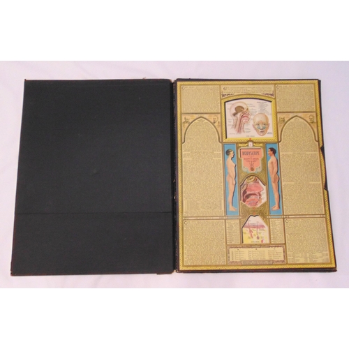 233 - Bodyscope mid 20th century educational anatomical medical folio of male and female bodies, originate... 