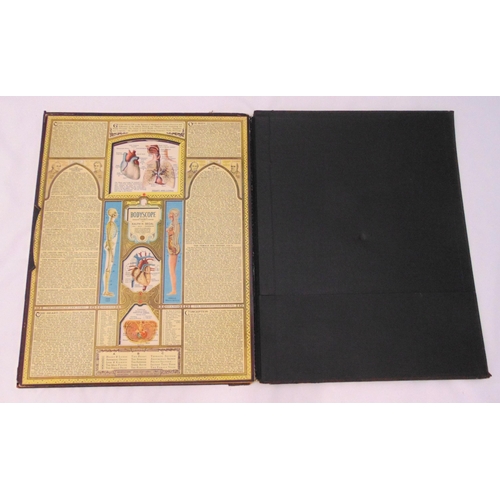 233 - Bodyscope mid 20th century educational anatomical medical folio of male and female bodies, originate... 