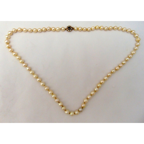 295 - A single string pearl necklace with 9ct gold sapphire and pearl clasp