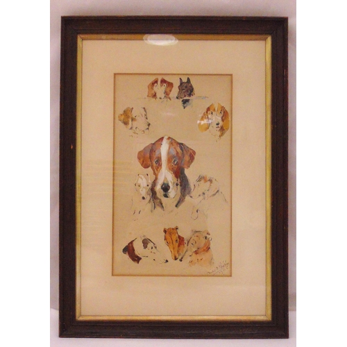 Lot 29        