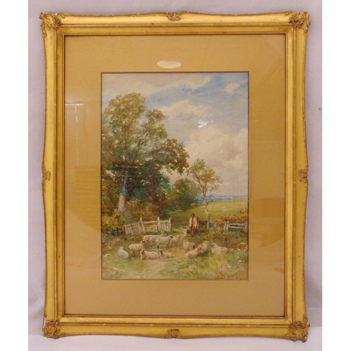 Lot 34        