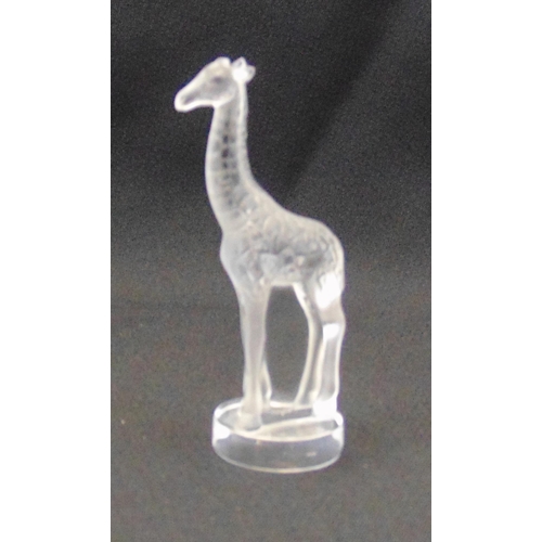 194 - Lalique clear crystal giraffe figurine, signed to the base, 8 x 2.5 x2.5cm