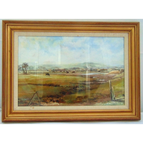 Lot 49        