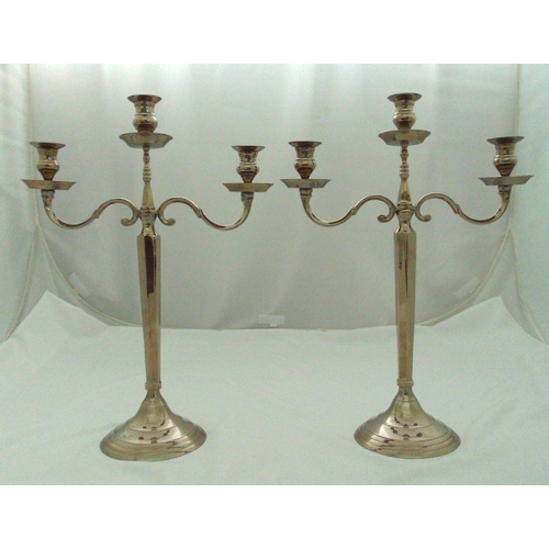 Lot 341       