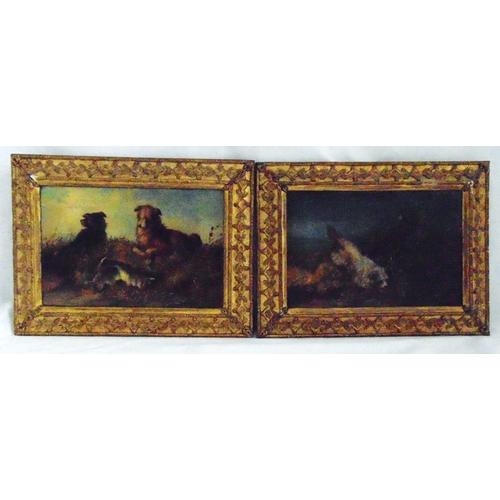 80 - Attributed to George Armfield (c1803-1893 British) two framed oils on canvas of sporting dog terrier... 