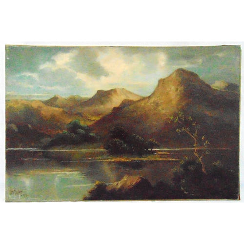Lot 53        