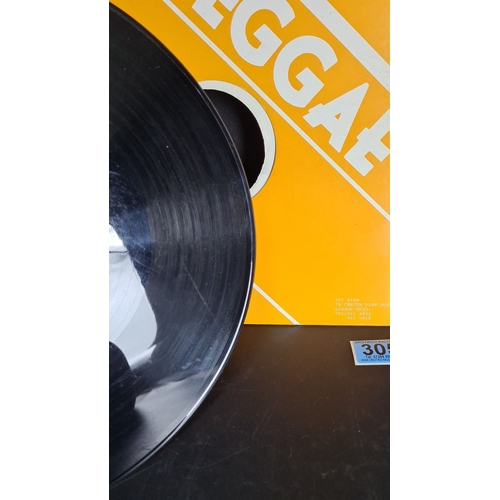 305 - Vinyl 12-inch record featuring 