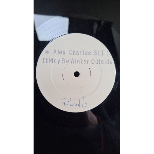 317 - Vinyl record Alex Charles "it may be winter outside".  All records in this sale sold indiv... 