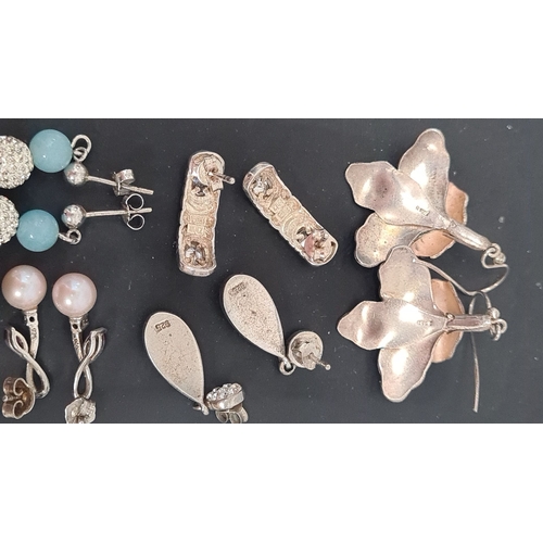 507 - Selection of silver earrings