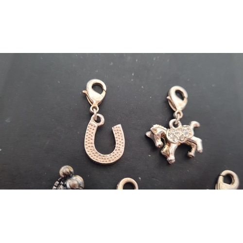 600 - Selection of white metal charms, including horse related charms