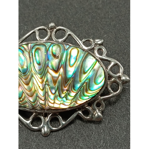 52 - Marked silver Abalone shell brooch