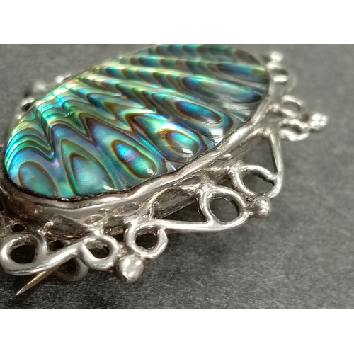 52 - Marked silver Abalone shell brooch