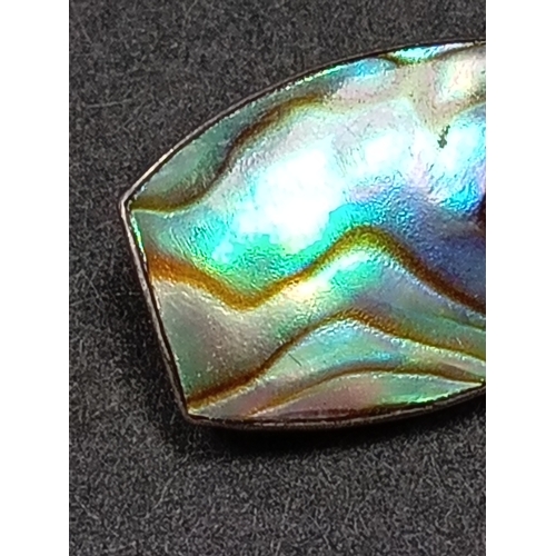 45 - Marked silver Abalone shell brooch