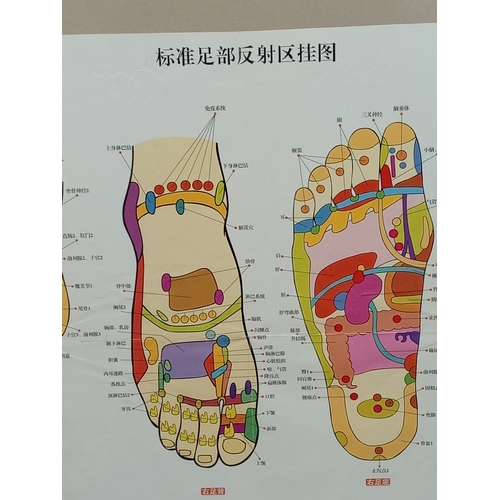 35 - Framed Chinese medical foot poster H 54cm x W 63cm