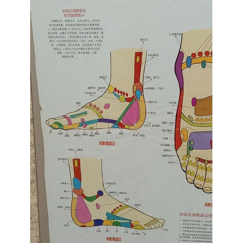 35 - Framed Chinese medical foot poster H 54cm x W 63cm