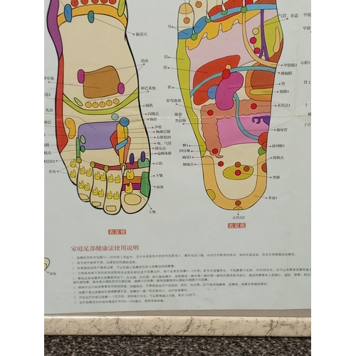 35 - Framed Chinese medical foot poster H 54cm x W 63cm