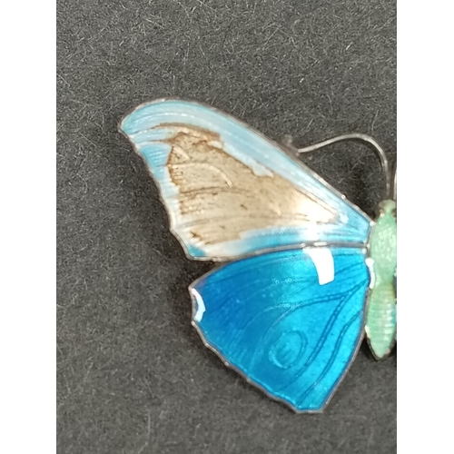 313 - Marked sterling silver A/F enamel butterfly brooch