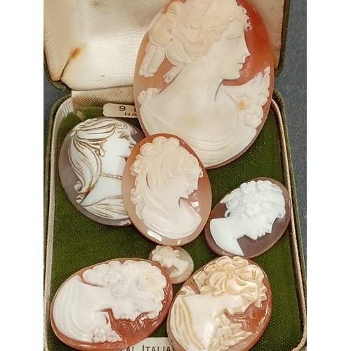 674 - One large cameo 5cm x 4cm,three cameo's 3cm x 2.5cm,one cameo 2.5cm x 2cm and one cameo 1cm x 1cm