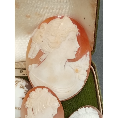 674 - One large cameo 5cm x 4cm,three cameo's 3cm x 2.5cm,one cameo 2.5cm x 2cm and one cameo 1cm x 1cm