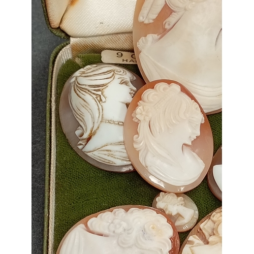 674 - One large cameo 5cm x 4cm,three cameo's 3cm x 2.5cm,one cameo 2.5cm x 2cm and one cameo 1cm x 1cm