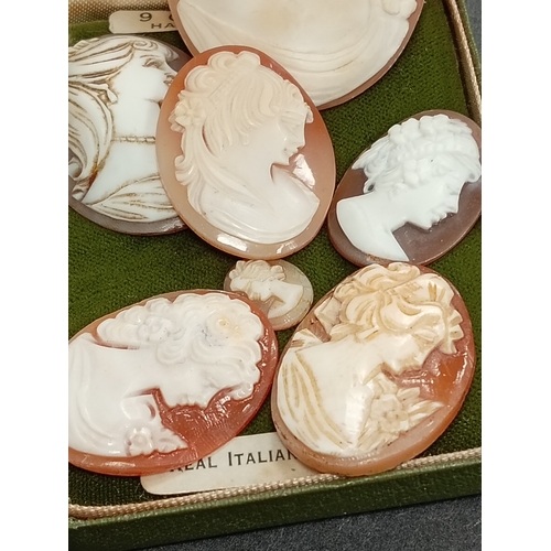 674 - One large cameo 5cm x 4cm,three cameo's 3cm x 2.5cm,one cameo 2.5cm x 2cm and one cameo 1cm x 1cm