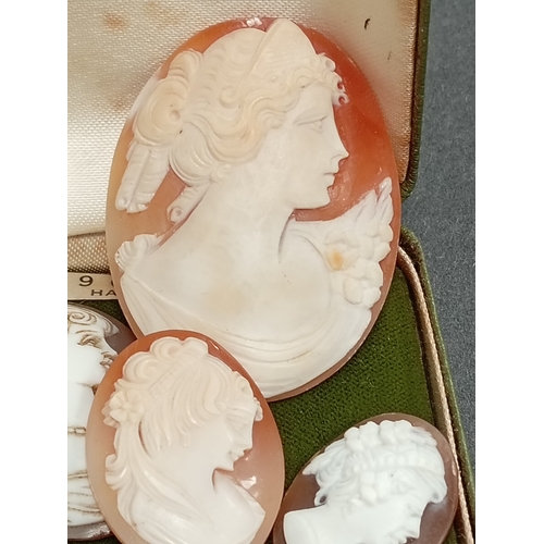 674 - One large cameo 5cm x 4cm,three cameo's 3cm x 2.5cm,one cameo 2.5cm x 2cm and one cameo 1cm x 1cm