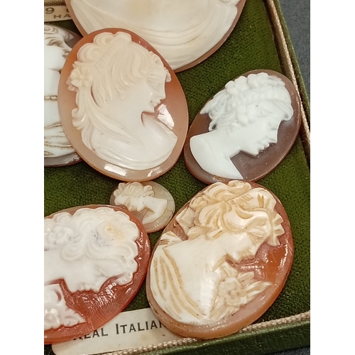 674 - One large cameo 5cm x 4cm,three cameo's 3cm x 2.5cm,one cameo 2.5cm x 2cm and one cameo 1cm x 1cm