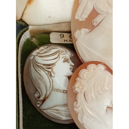 674 - One large cameo 5cm x 4cm,three cameo's 3cm x 2.5cm,one cameo 2.5cm x 2cm and one cameo 1cm x 1cm