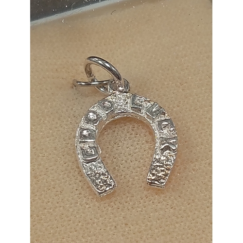 680 - Boxed 925 silver good luck horse shoe pendant