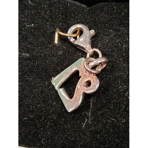 686 - 925 silver 21 charm boxed