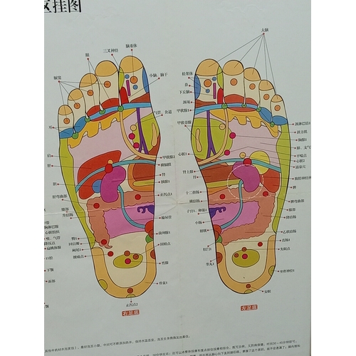 516 - Framed Chinese medical foot poster H 54cm x W 63cm