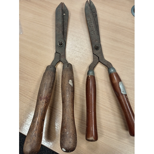 541 - Pair of garden vintage shears