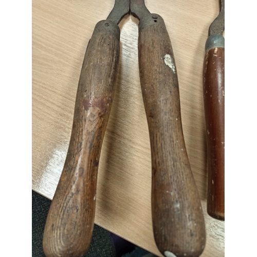 541 - Pair of garden vintage shears