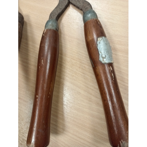 541 - Pair of garden vintage shears