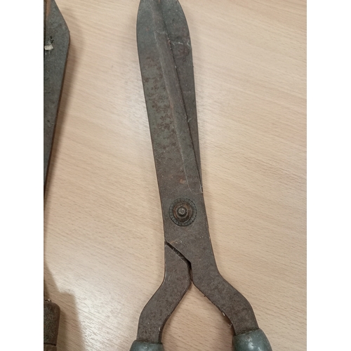 541 - Pair of garden vintage shears