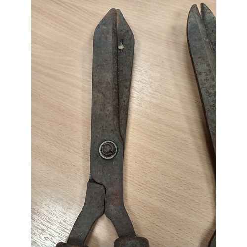 541 - Pair of garden vintage shears