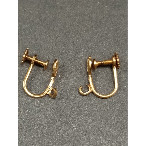 624 - Yellow metal screw back earrings