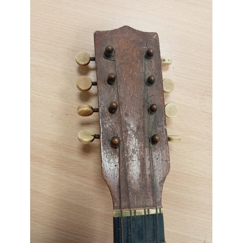 584 - Cuckoo Mandolin 1900's banjo