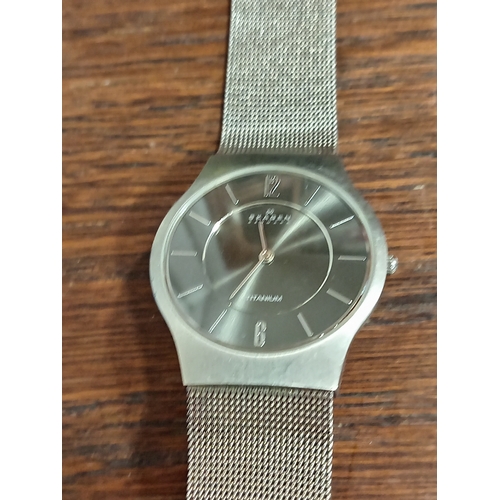 614 - Men's working Skagen Denmark Titanium watch