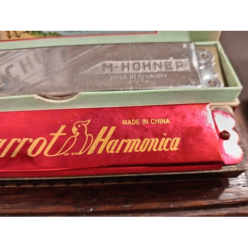 448 - Two vintage harmonicas, one in original box Echo made by M. Hohner Germany and one Parrot harmonica