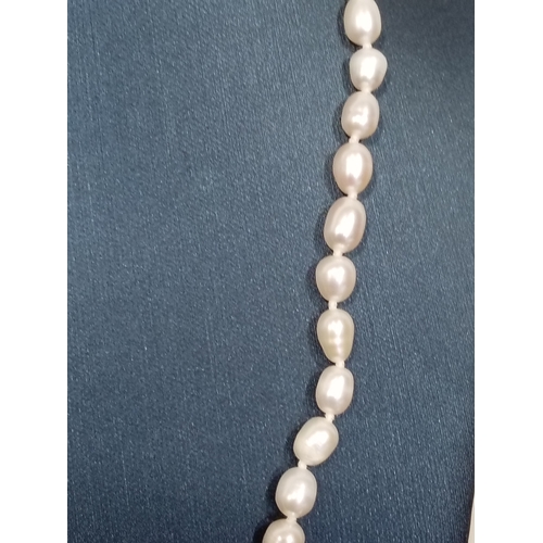 637 - Molly Brown London Freshwater pearl and 925 silver clasped child's necklace 34cm