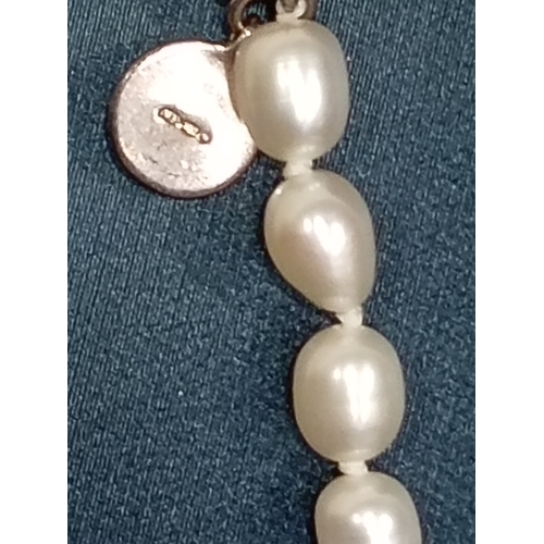 637 - Molly Brown London Freshwater pearl and 925 silver clasped child's necklace 34cm