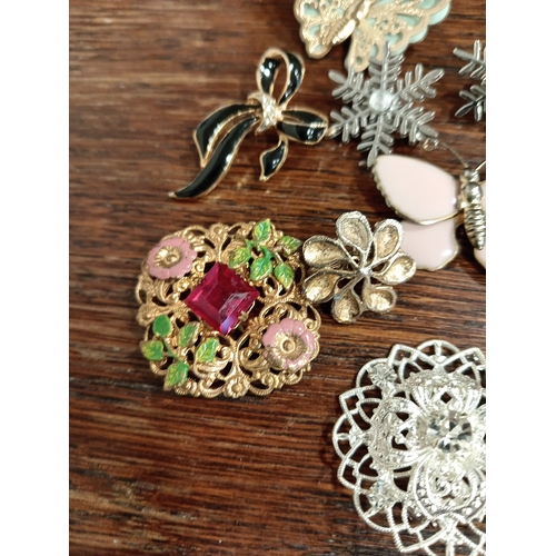 641 - Ten vintage costume brooches