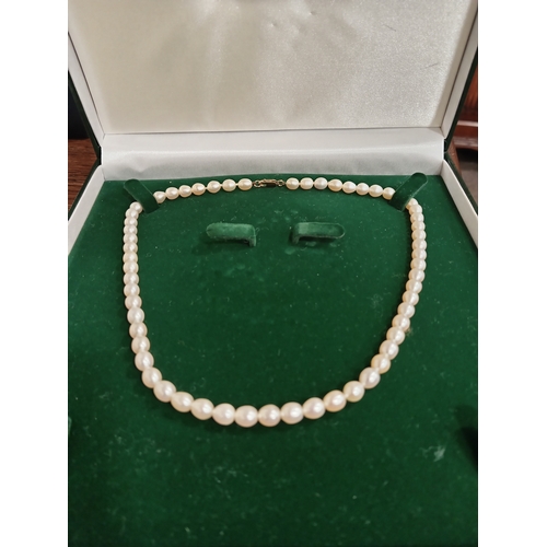 643 - 9ct gold clasp Freshwater pearl boxed necklace