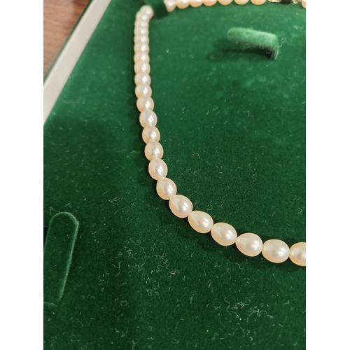 643 - 9ct gold clasp Freshwater pearl boxed necklace